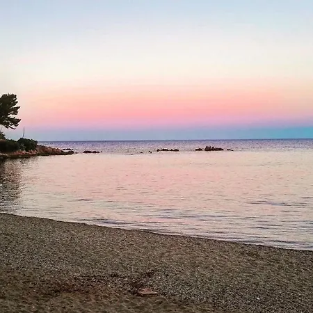 Navarra House アパート